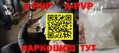 стаф Гатчина
