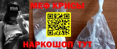 стаф Гатчина