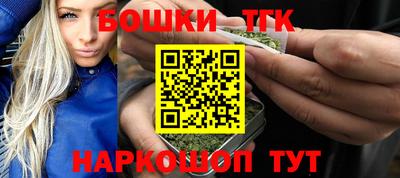 стаф Гатчина