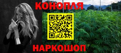 стаф Гатчина