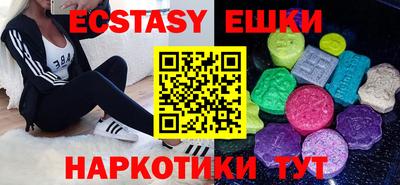 стаф Гатчина
