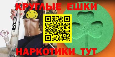 стаф Гатчина
