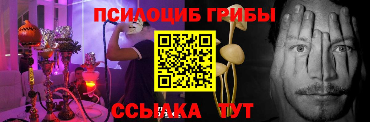 Новоалександровск  Псилоцибиновые грибы MAGIC MUSHROOMS  Вход с VPN 